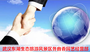 武漢APP開(kāi)發—軒承科(kē)技(jì)